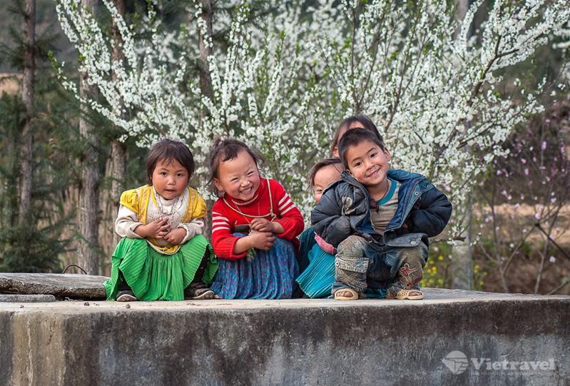 Sapa - Best View - Bản Cát Cát - Đèo Ô Quy Hồ